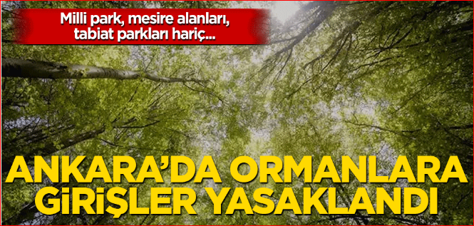 Ankara’da ormanlara girişler yasaklandı
