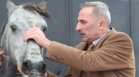 Erzurum'da 'donan at' ile ilgili gerçek ortaya çıktı! Aslında...