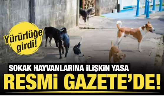 Sahipsiz hayvanlara yönelik yasa Resmi Gazete'de 